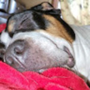 Meet your Posher, Candy